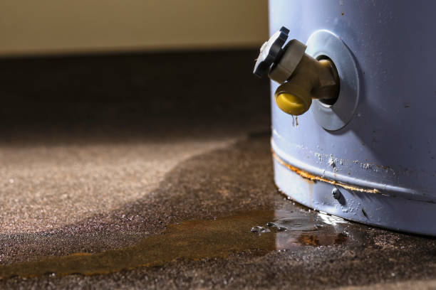 Professional Water damage restoration in Catalina Foothills, AZ