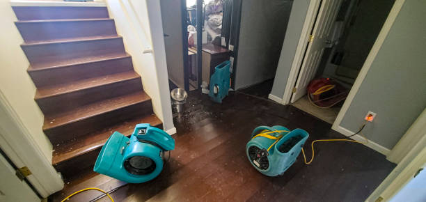 Best Water damage cleanup near me  in Catalina Foothills, AZ