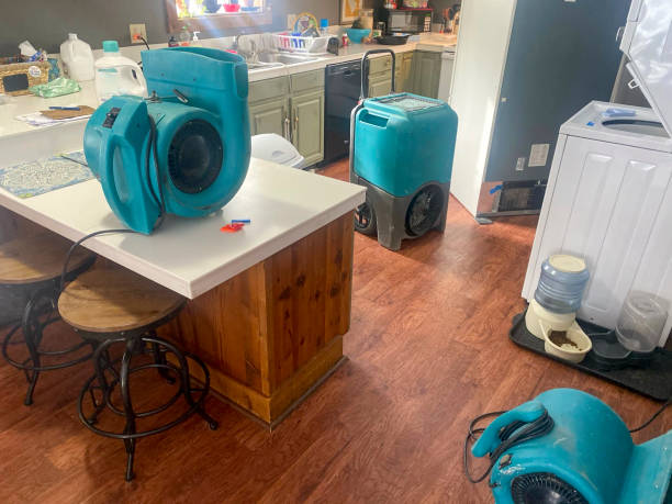 Best Water damage contractors near me  in Catalina Foothills, AZ