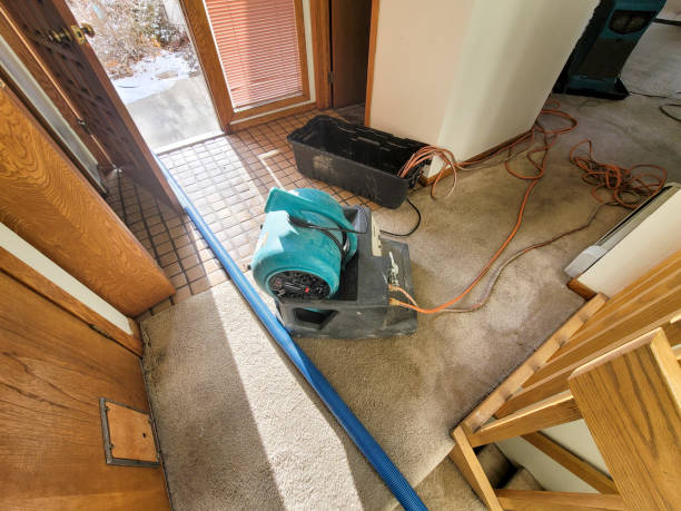 Best 24-hour water damage restoration  in Catalina Foothills, AZ