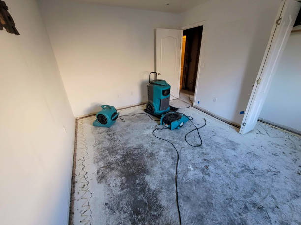 Best Residential water damage restoration  in Catalina Foothills, AZ