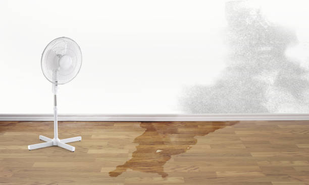 Best Carpet water damage restoration  in Catalina Foothills, AZ