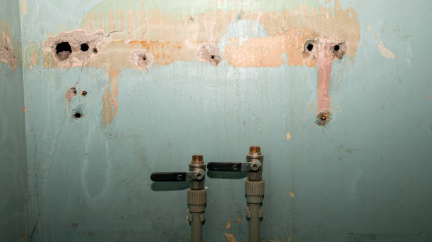 Best Sewage cleanup and water damage restoration  in Catalina Foothills, AZ