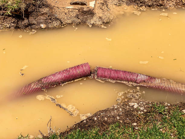 Best Flood restoration services  in Catalina Foothills, AZ