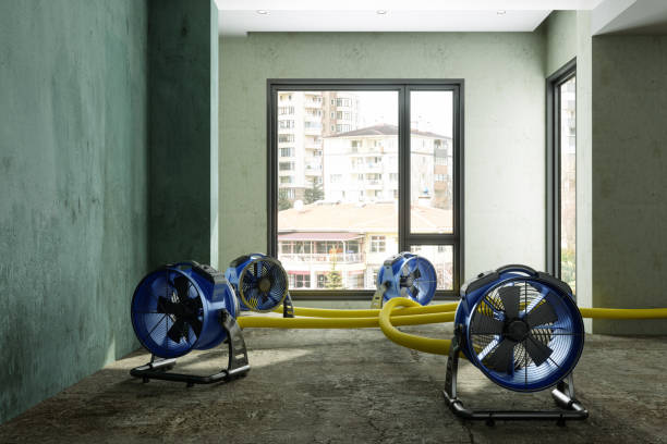 Best Water damage restoration insurance claims  in Catalina Foothills, AZ